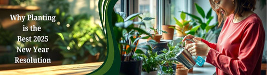 Why Planting is the Best 2025 New Year Resolution