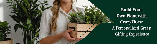 🌿 Build Your Own Plant with CrazyFlora: A Personalized Green Gifting Experience