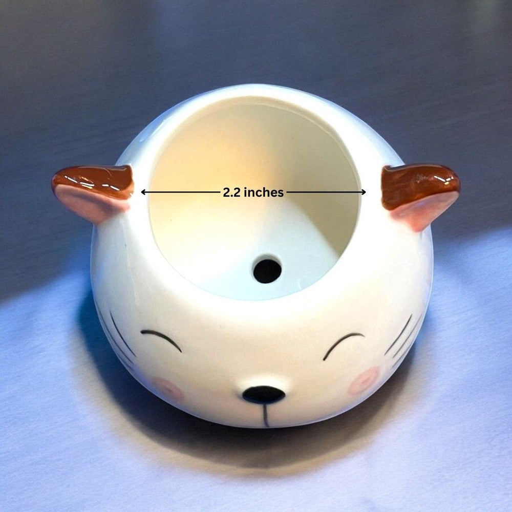 Cat Face Shape Ceramic Planter