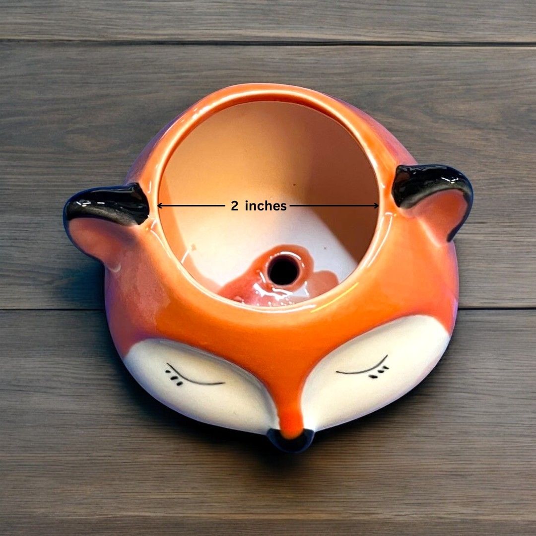 Fox Face Shape Ceramic Planter and Plant