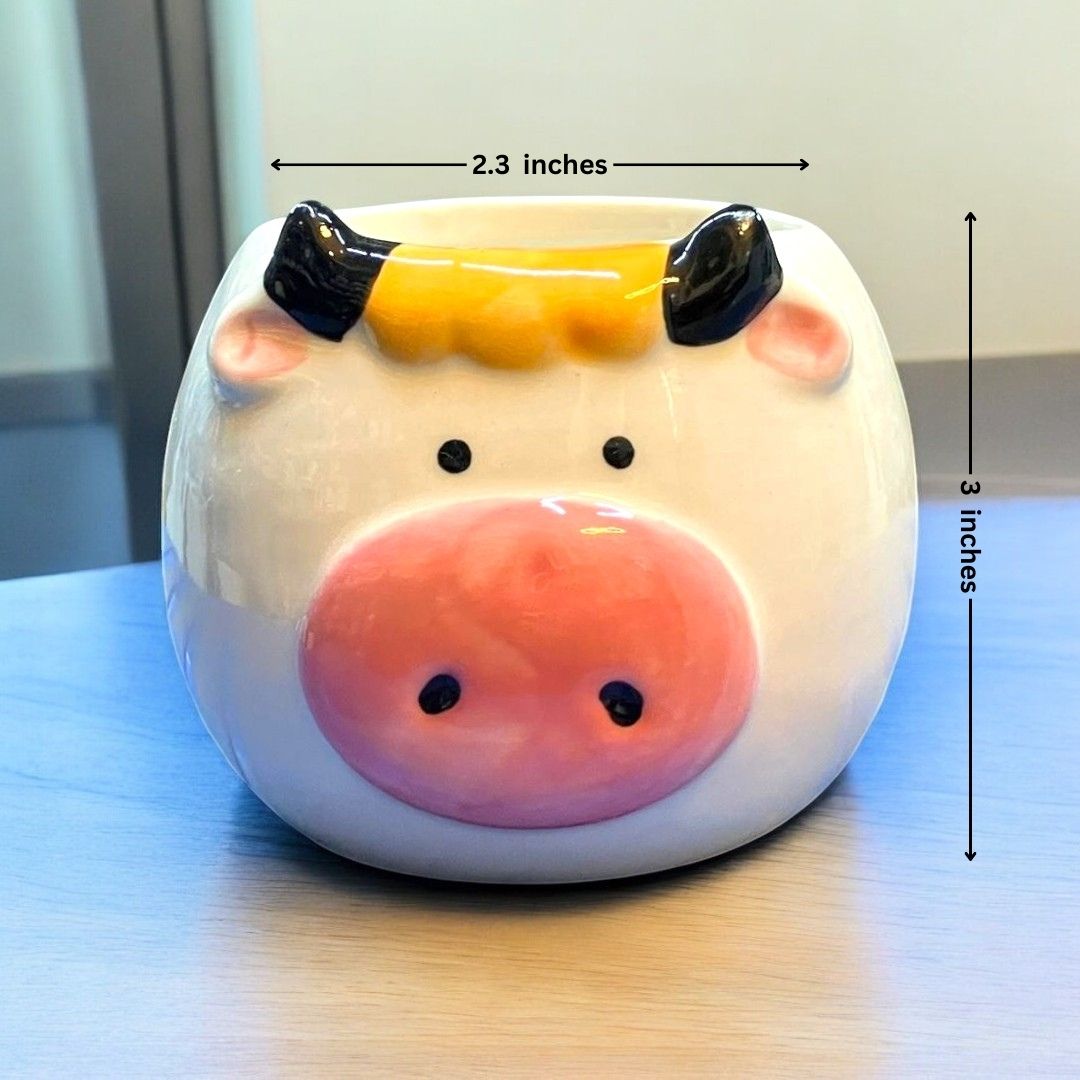 Cow Face Shape Ceramic Planter and Plan