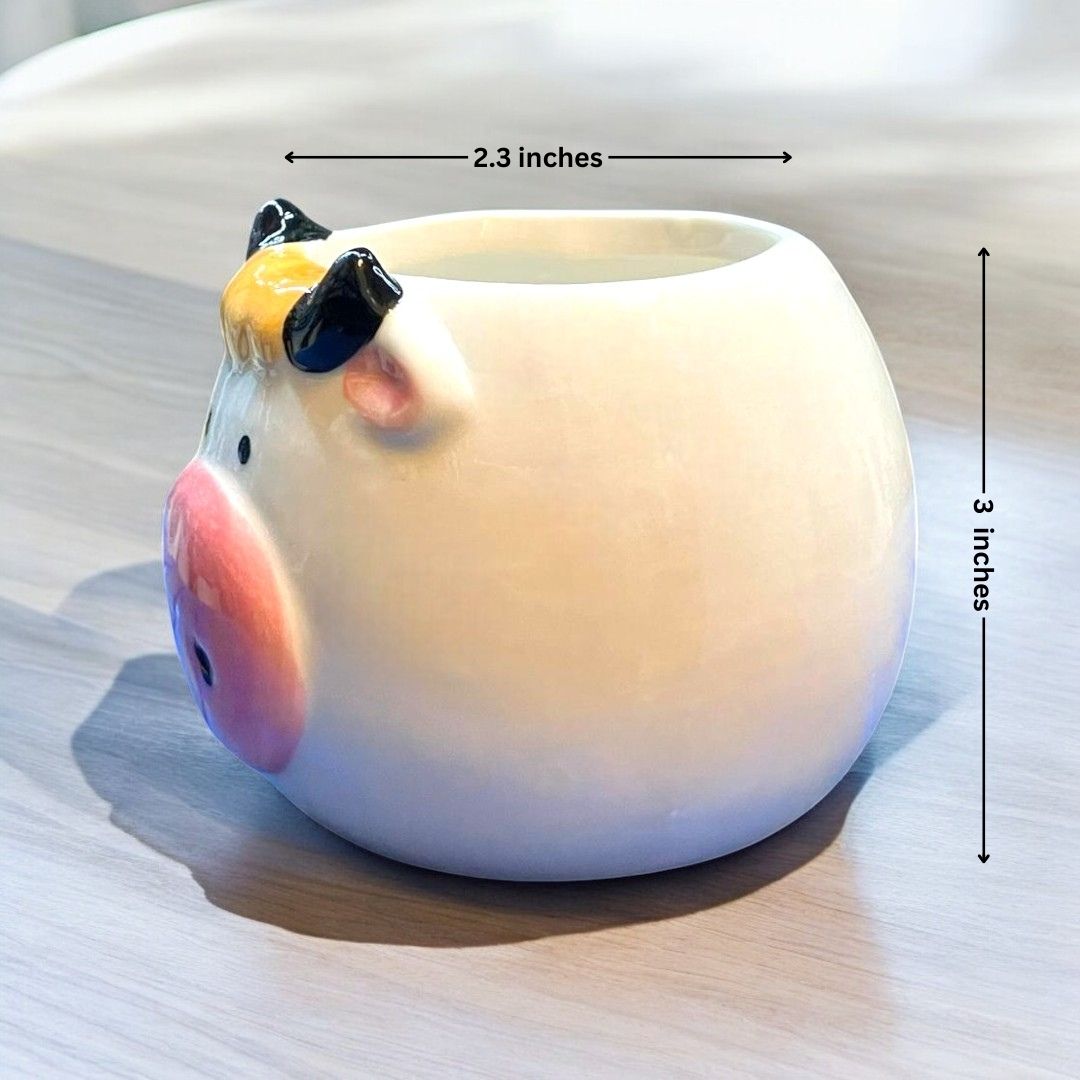 Cow Face Shape Ceramic Planter and Plan
