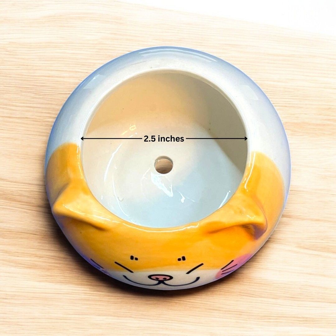Smiling cat Face Shape Ceramic Planter