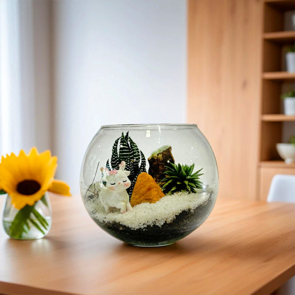 designer plants terrarium