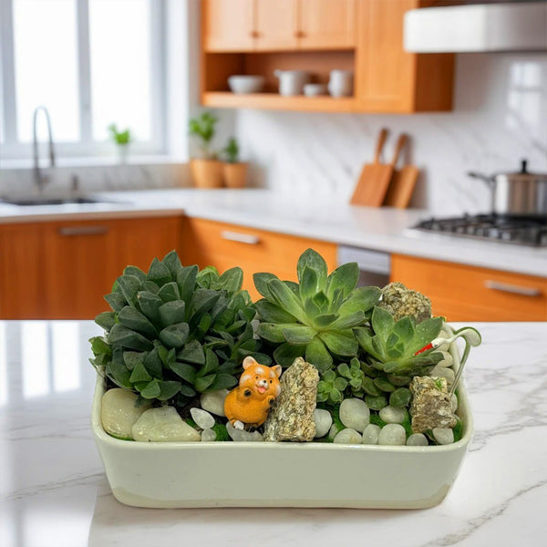 Designer plants