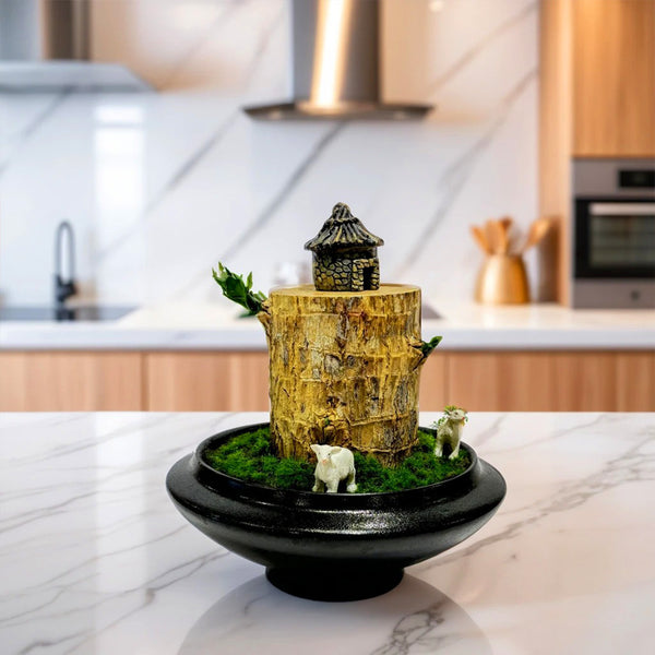 A miniature Brazilian wood plant in a ceramic planter, placed on a kitchen countertop with a small decorative house on top.