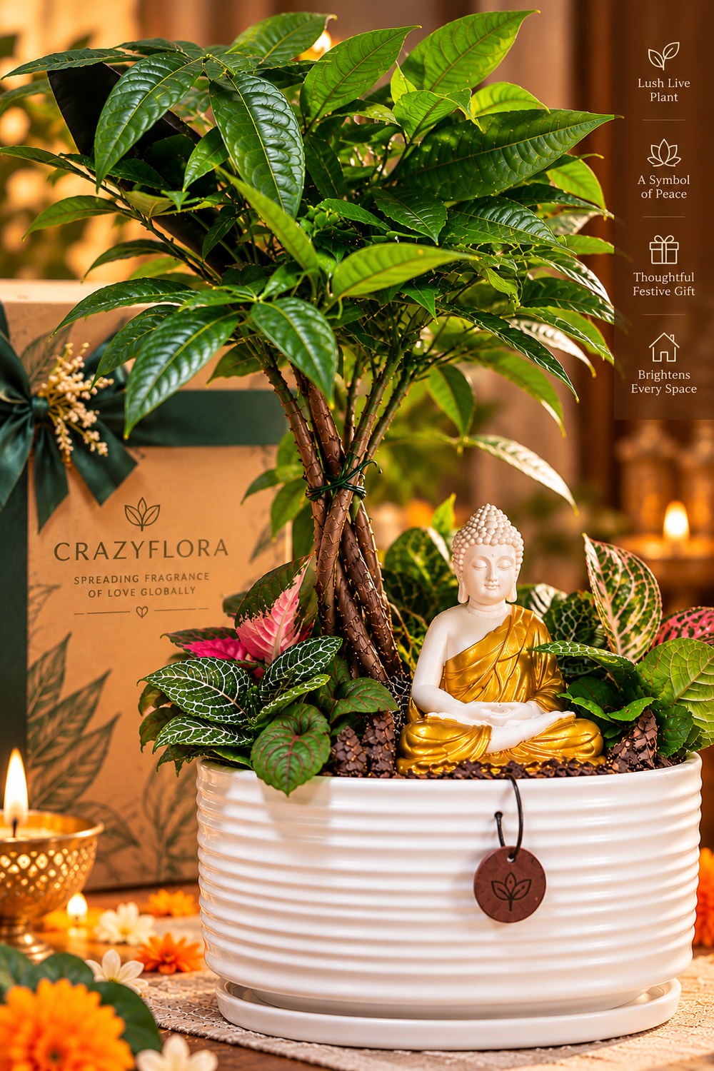 Serene Buddha braided plant in a white ribbed ceramic planter with CrazyFlora Diwali gift box, diyas, and marigolds