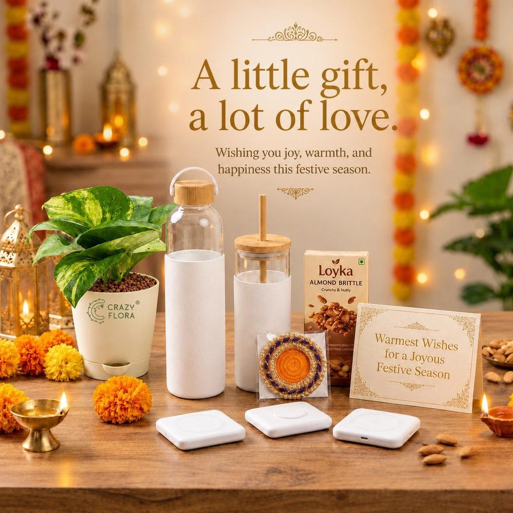 Diwali Wishes Gift Hamper — full flatlay with CrazyFlora Money Plant, bottle, tumbler, charger, almond brittle and diya