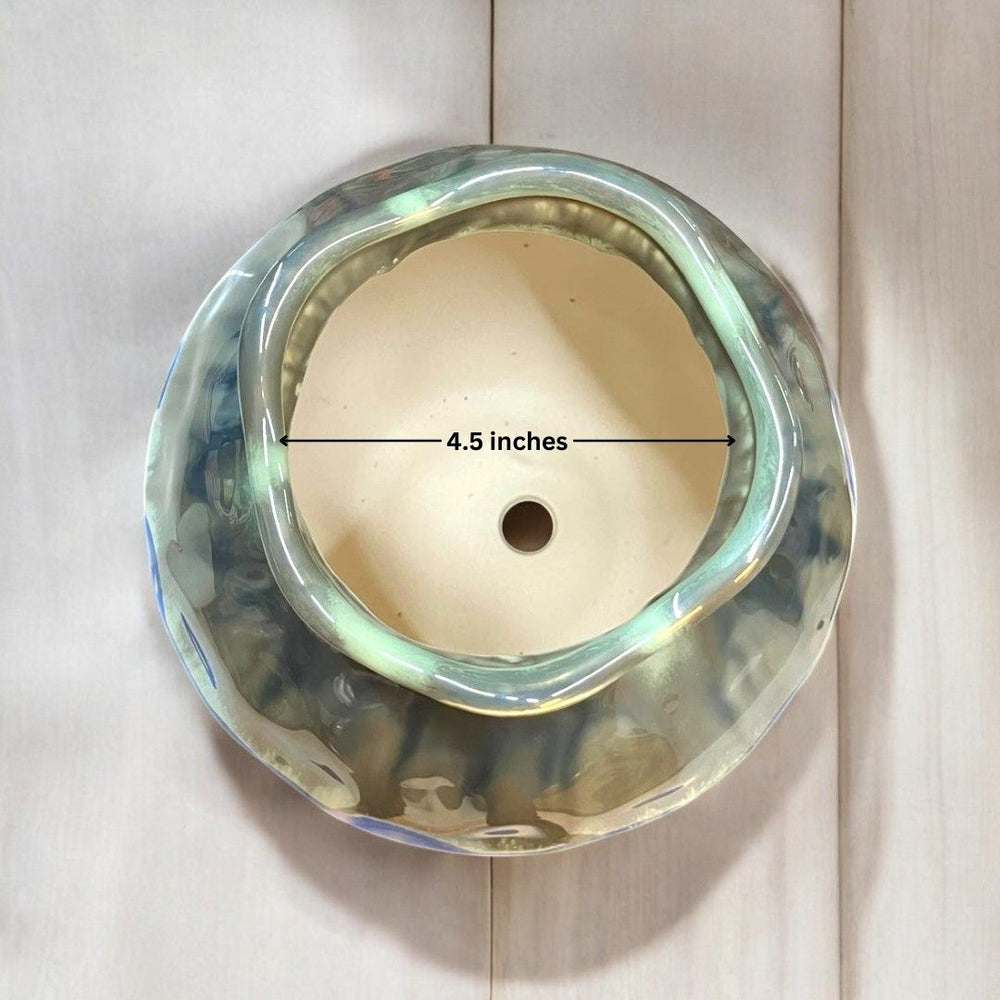Designer planter with color shade