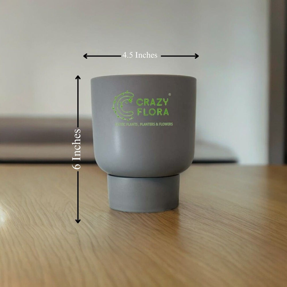 Cylinder Shape Planter