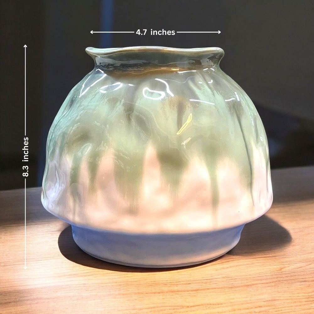 Designer Ceramic Planter