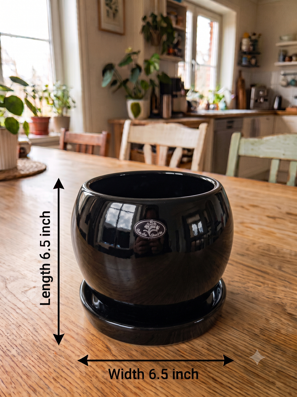 Apple Planter - XL in Black