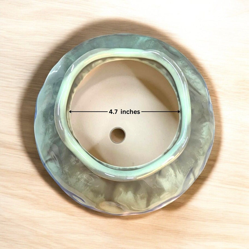 Designer Ceramic Planter