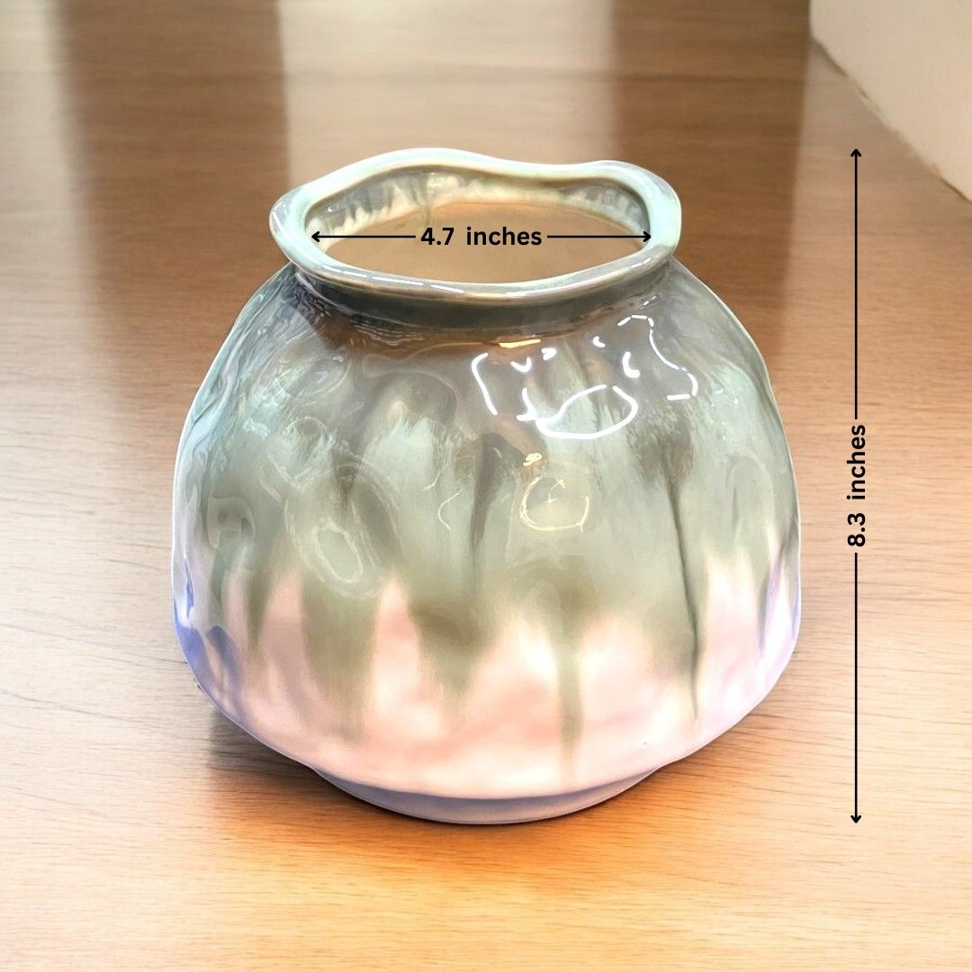 Designer Ceramic Planter