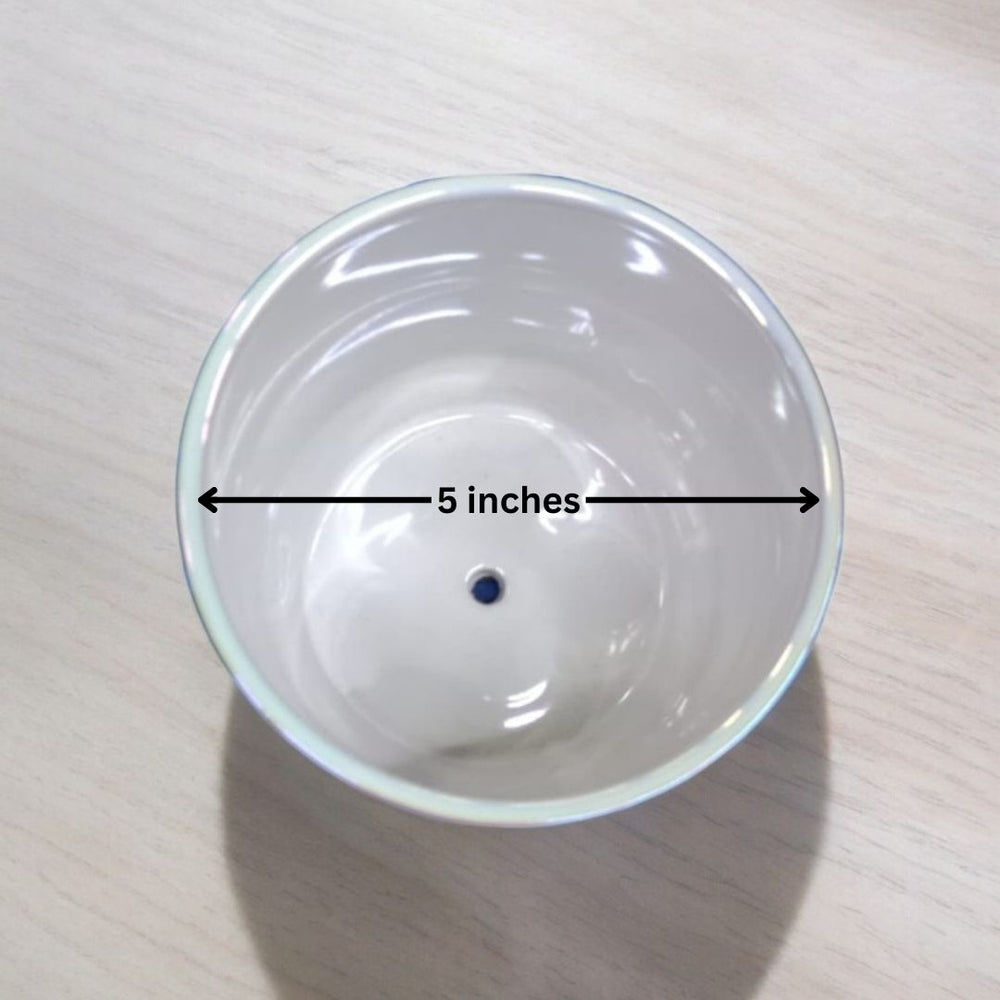 Cylindrical Shaped Planter with Round Edge