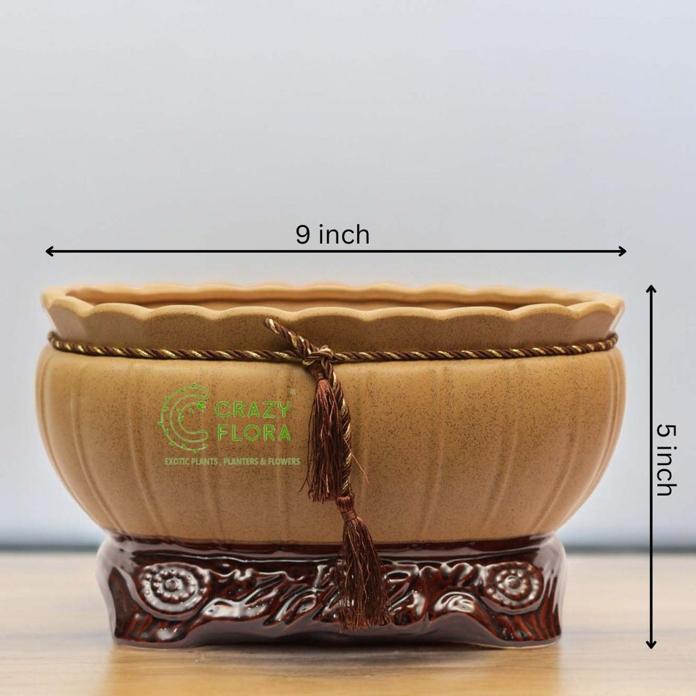 Bonsai Planter