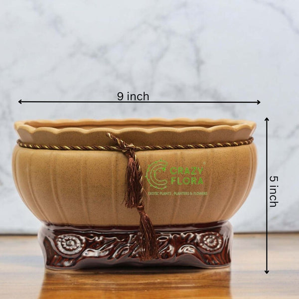 Bonsai Planter