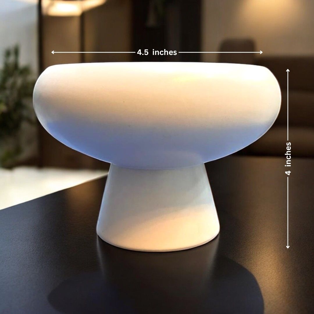 Bowl shaped planter with Stand