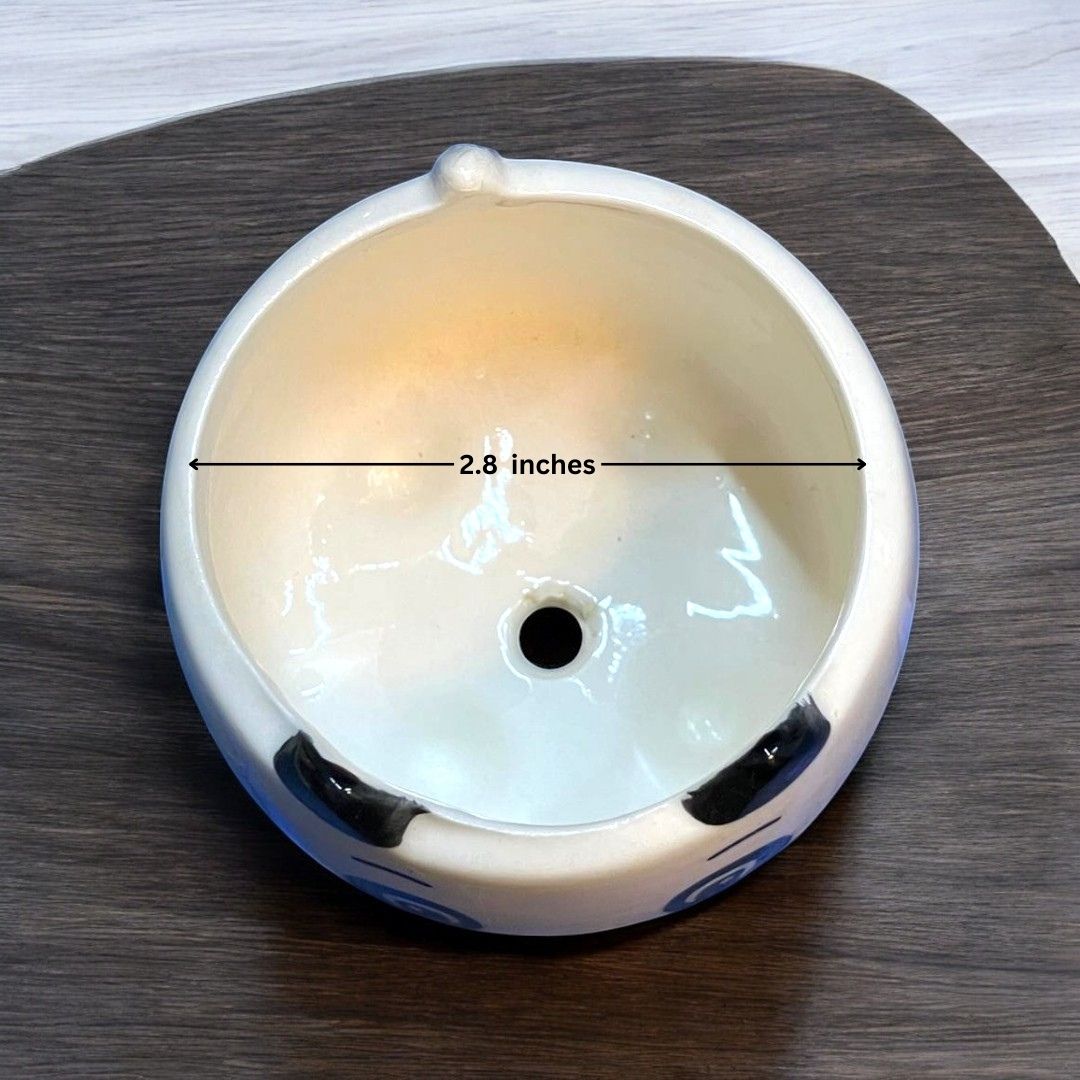 Panda Face Shape Ceramic Planter