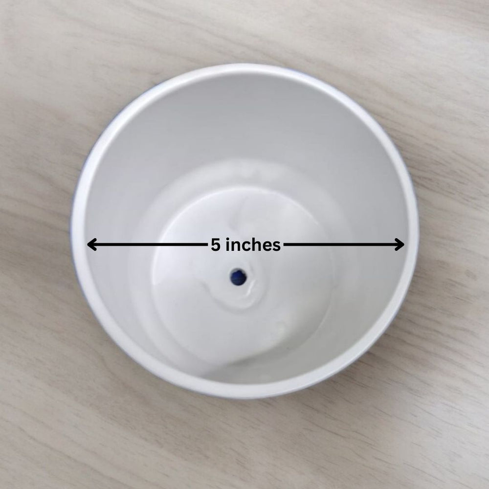 Cylindrical Shaped Planter with Round Edge