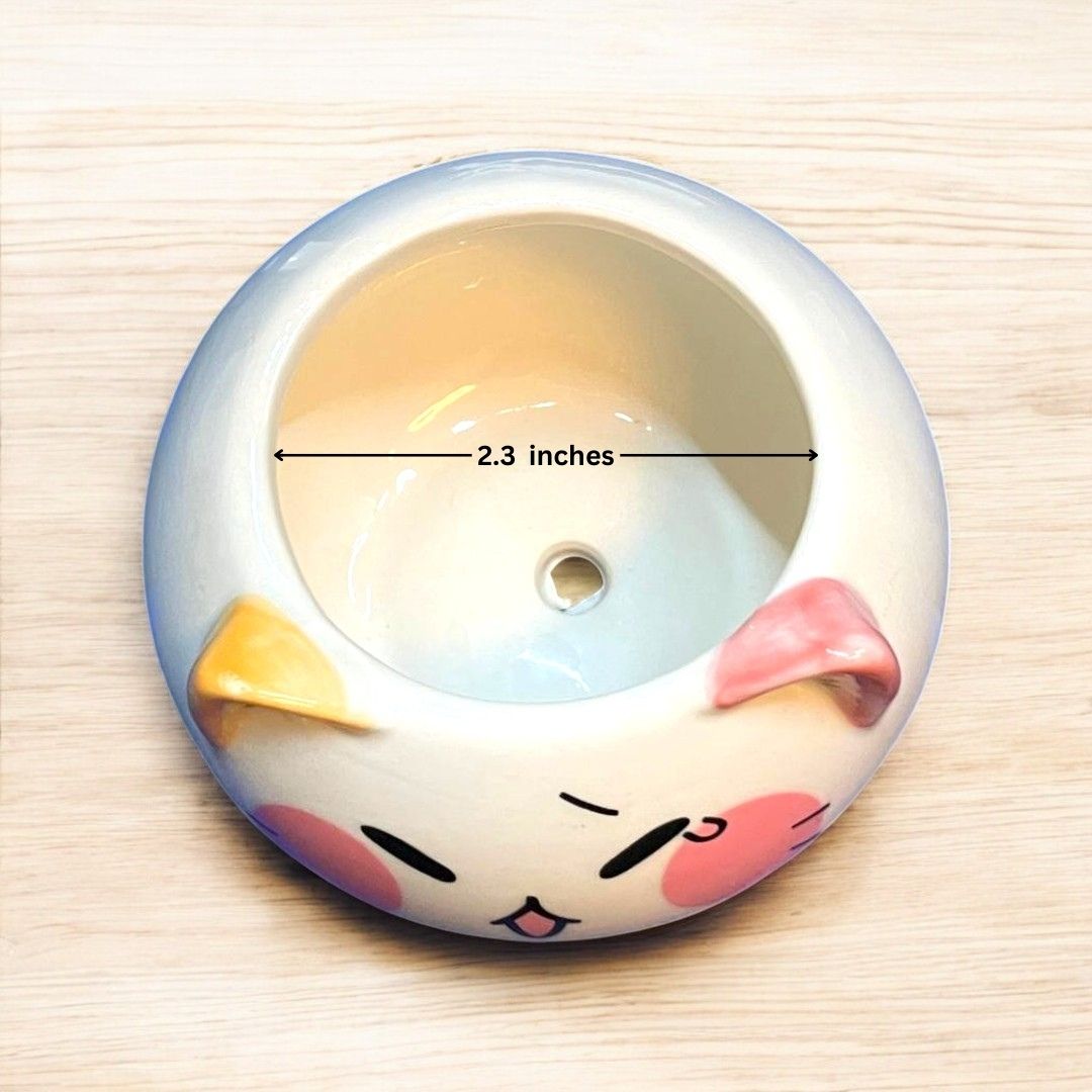 Cat Face Shape Ceramic Planter
