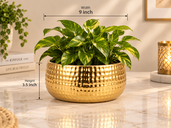 Hammered Gold Bowl Planter with trailing pothos
