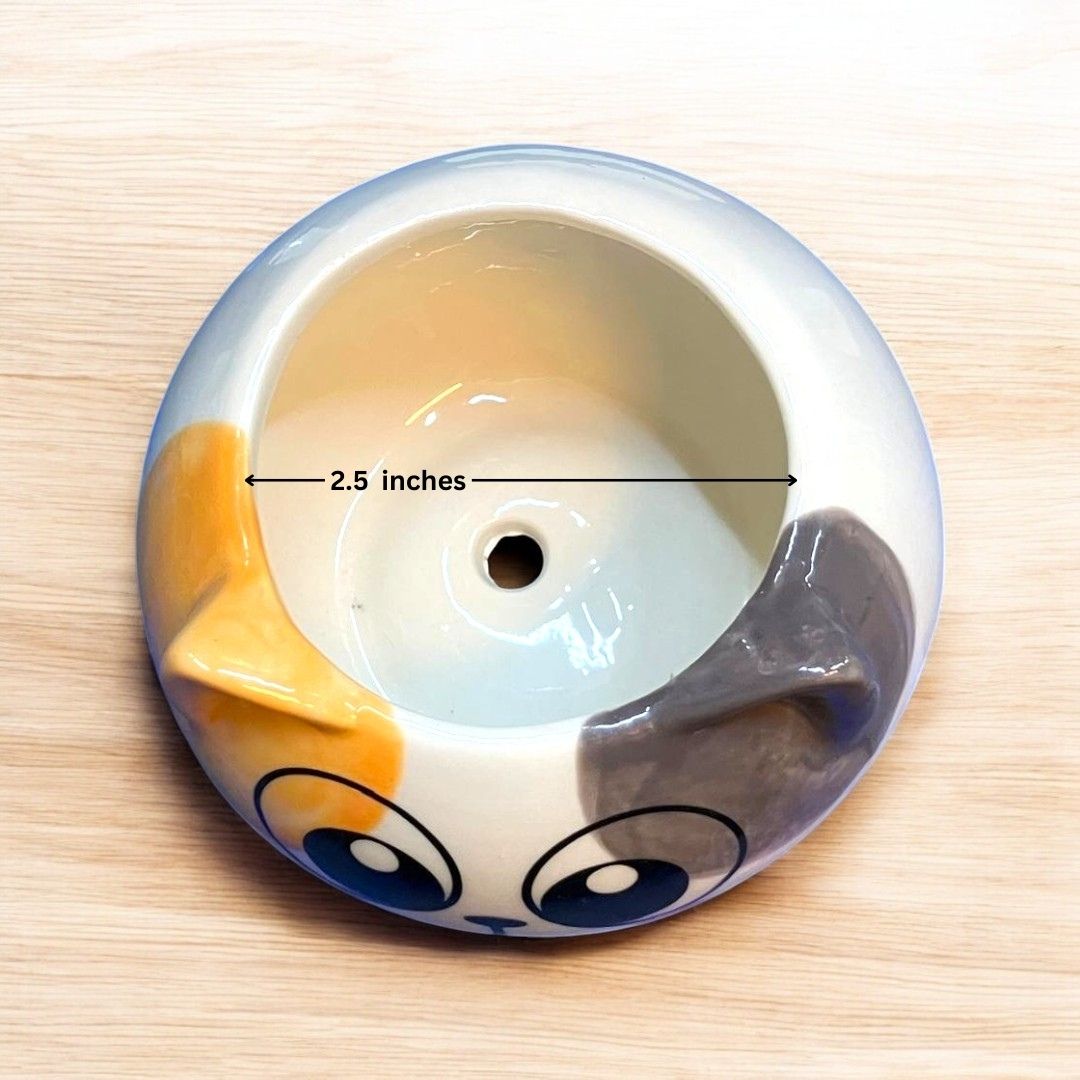 Cat Face Shape Ceramic Planter