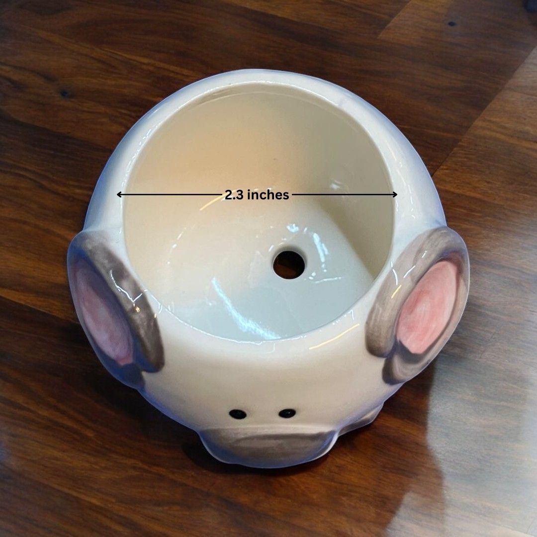 Elephant Face Shape Ceramic Planter