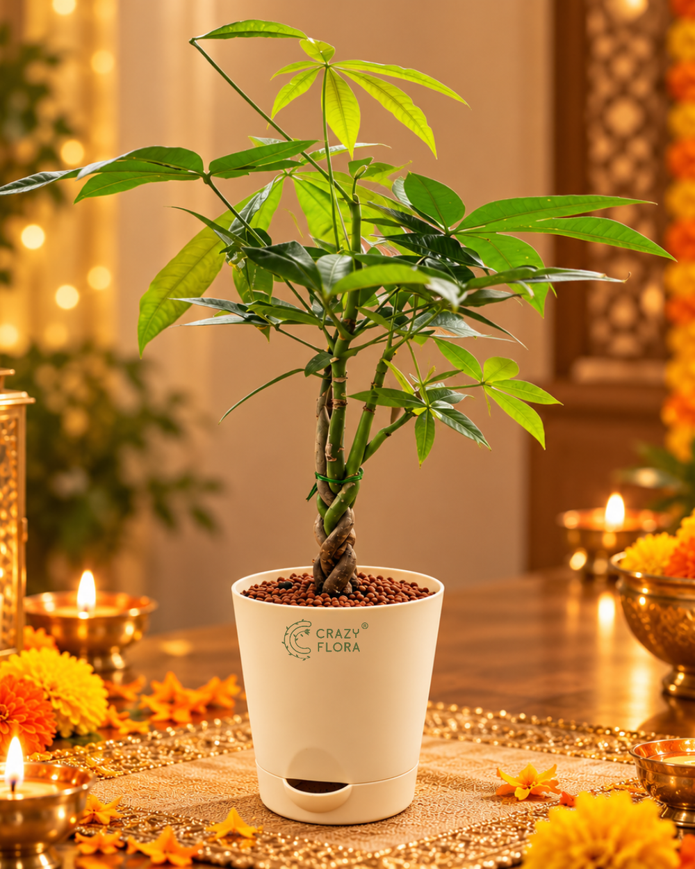 Shubh Samriddhi Hamper