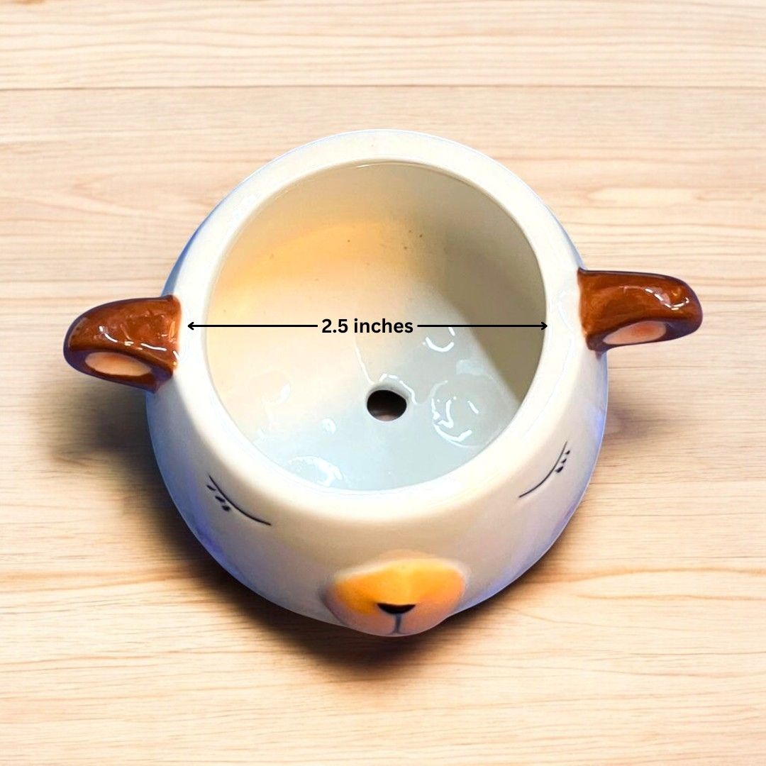 Sleeping Bear Face Shape Ceramic Planter