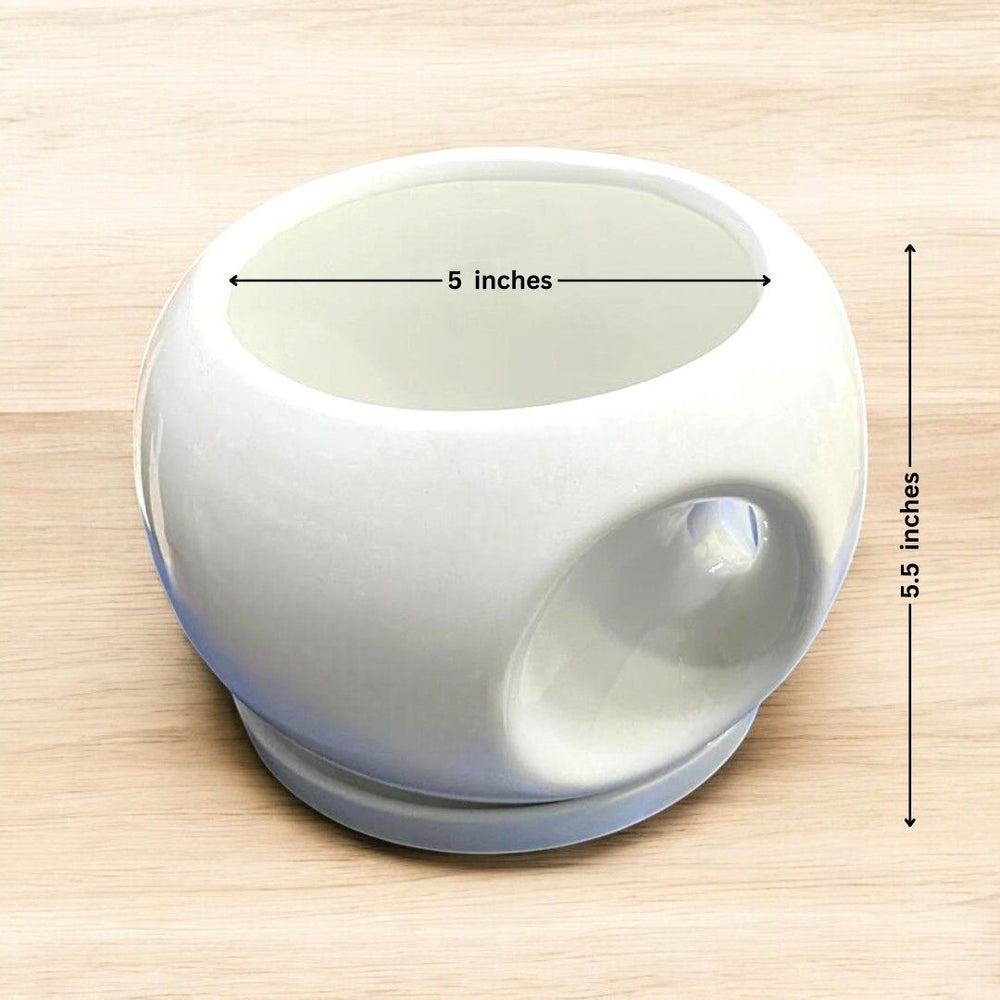 Apple pot with handle and tray