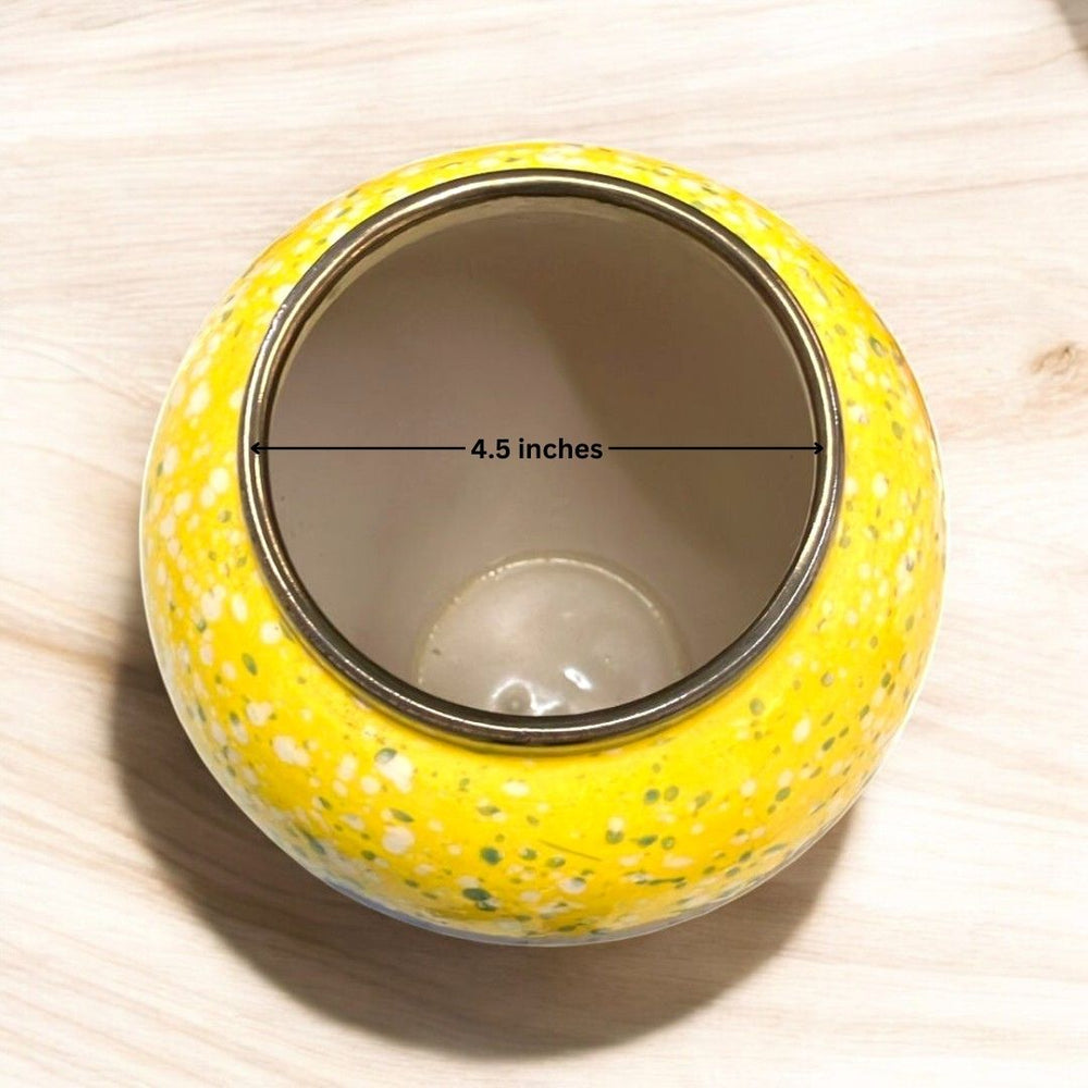 Designer Ceramic Planter