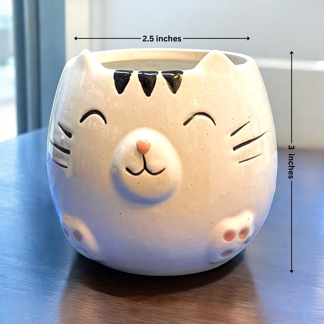 Smiling cat Face Shape Ceramic Planter