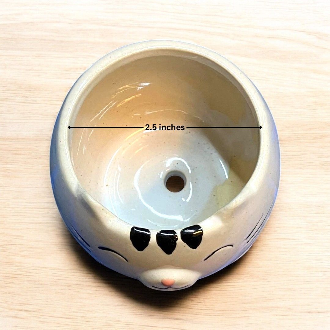 Smiling cat Face Shape Ceramic Planter