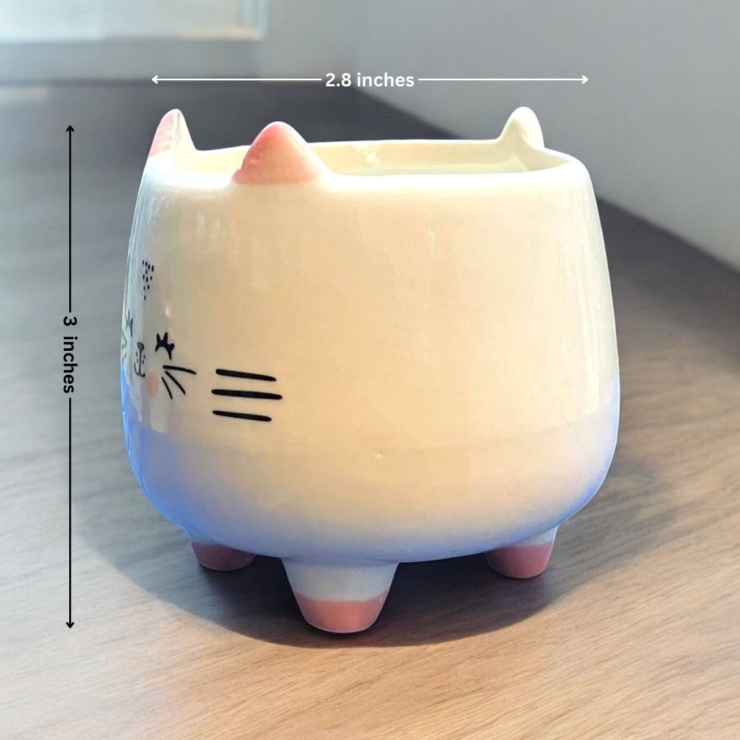 Smily Cat Face Shape Ceramic Planter with legs