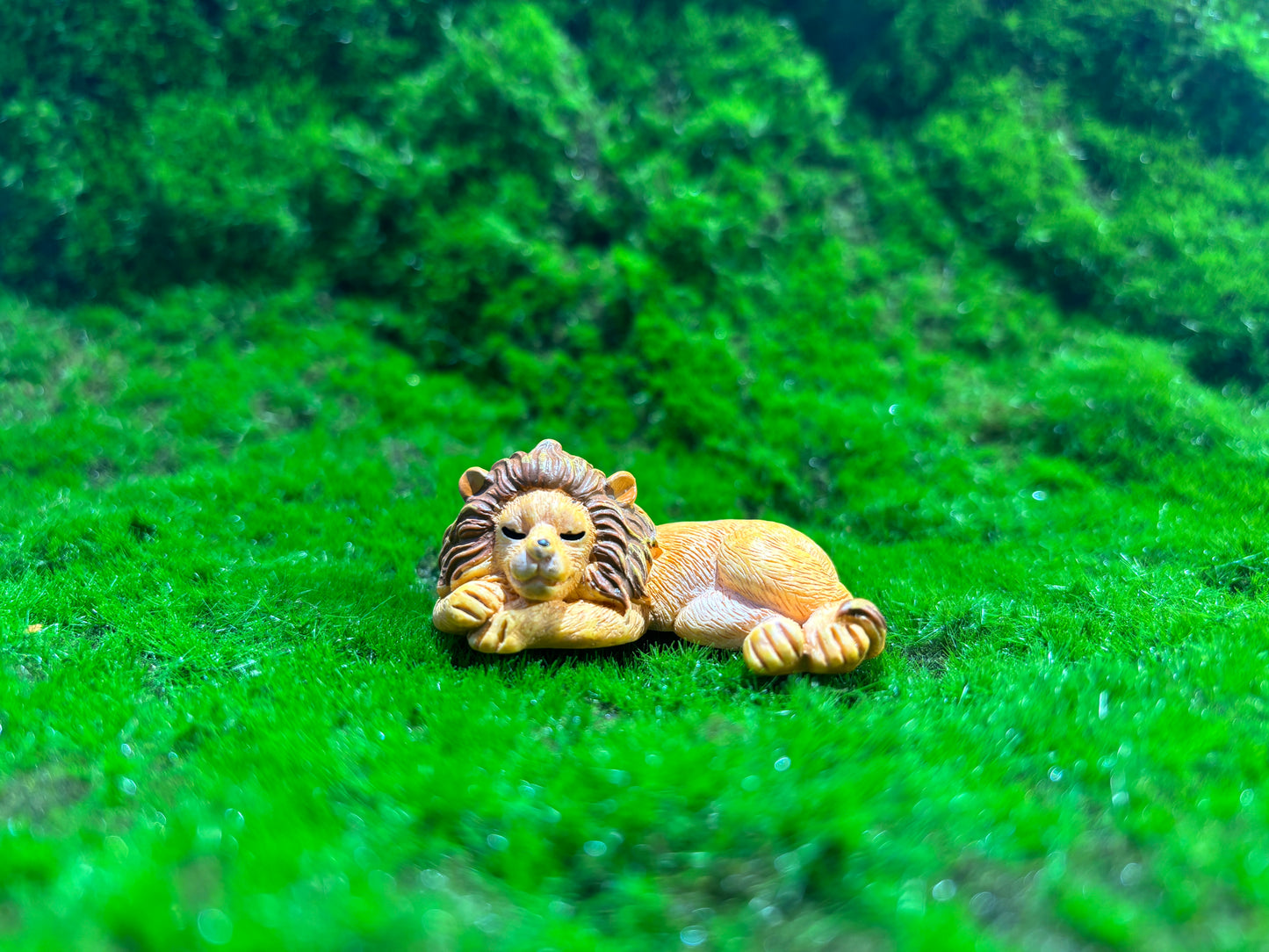 Adorable Lion Miniature