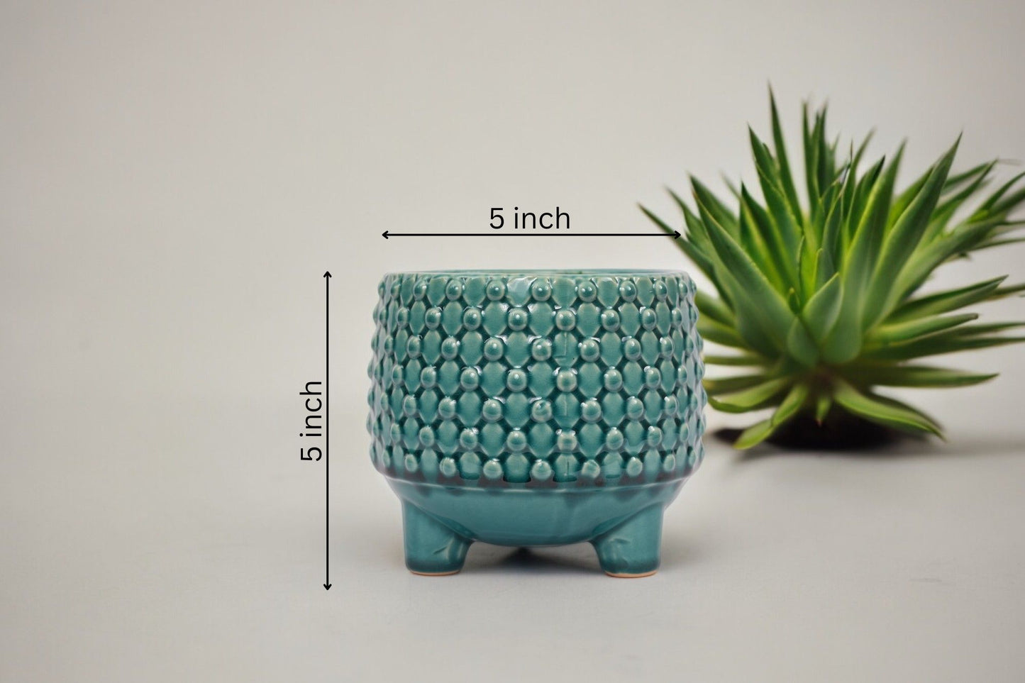 Decorative planters Bangalore