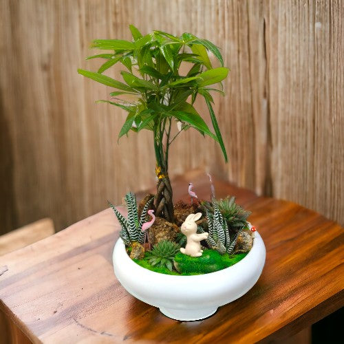 bonsai plants near Bangalore
