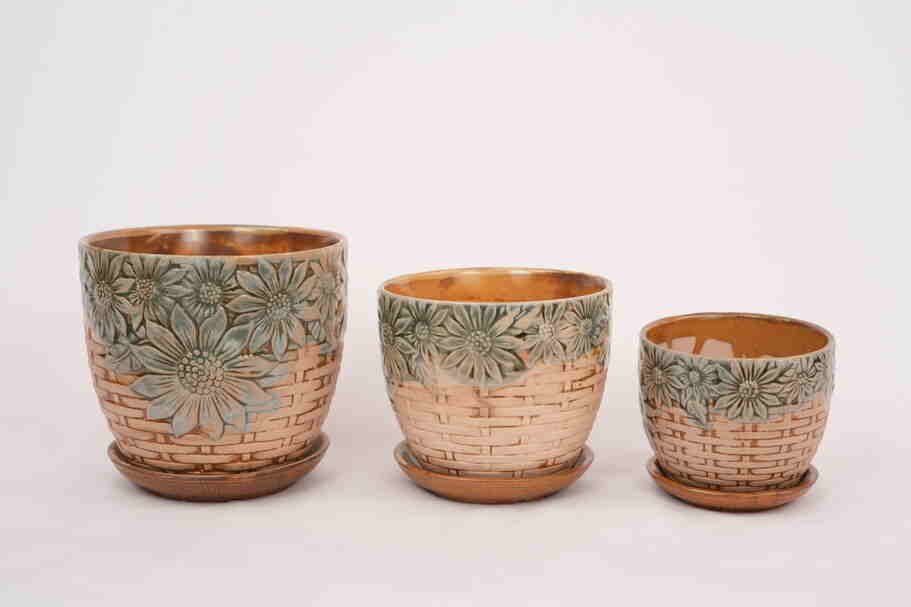 Bangalore planter shops