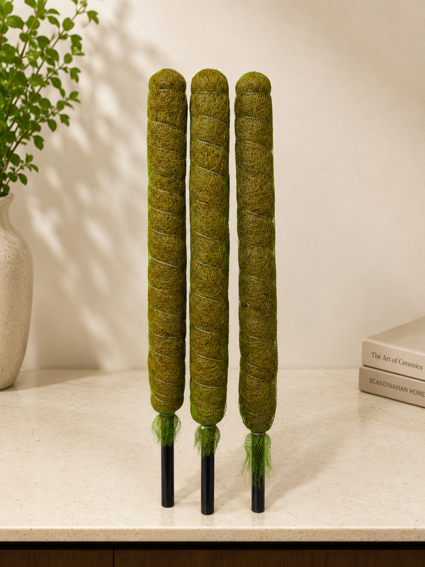 Premium Coco Coir Pole