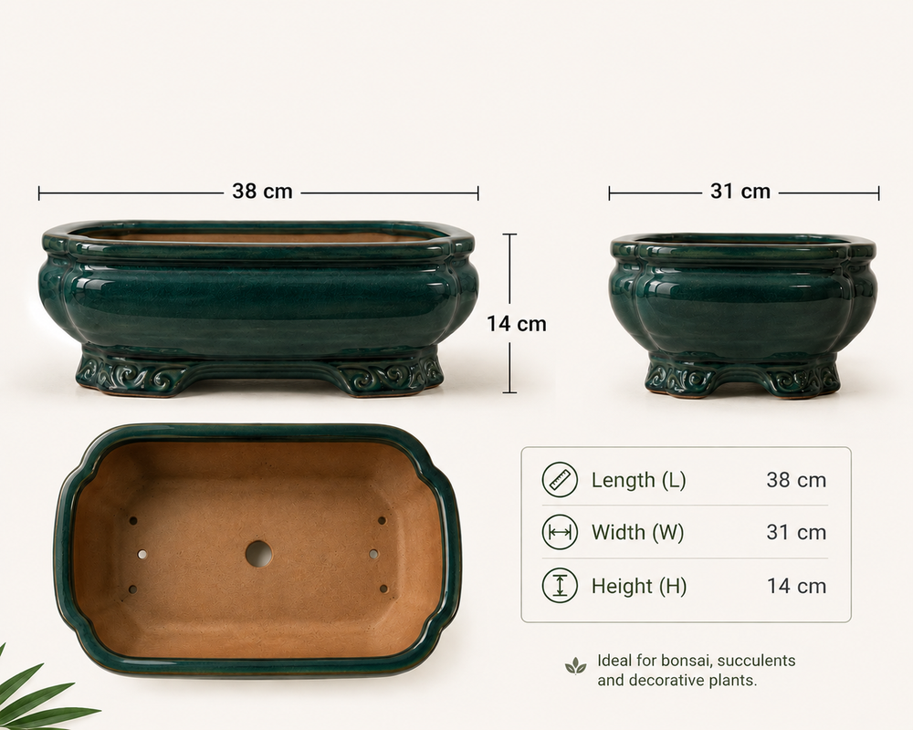 Emerald Harmony Bonsai Planter