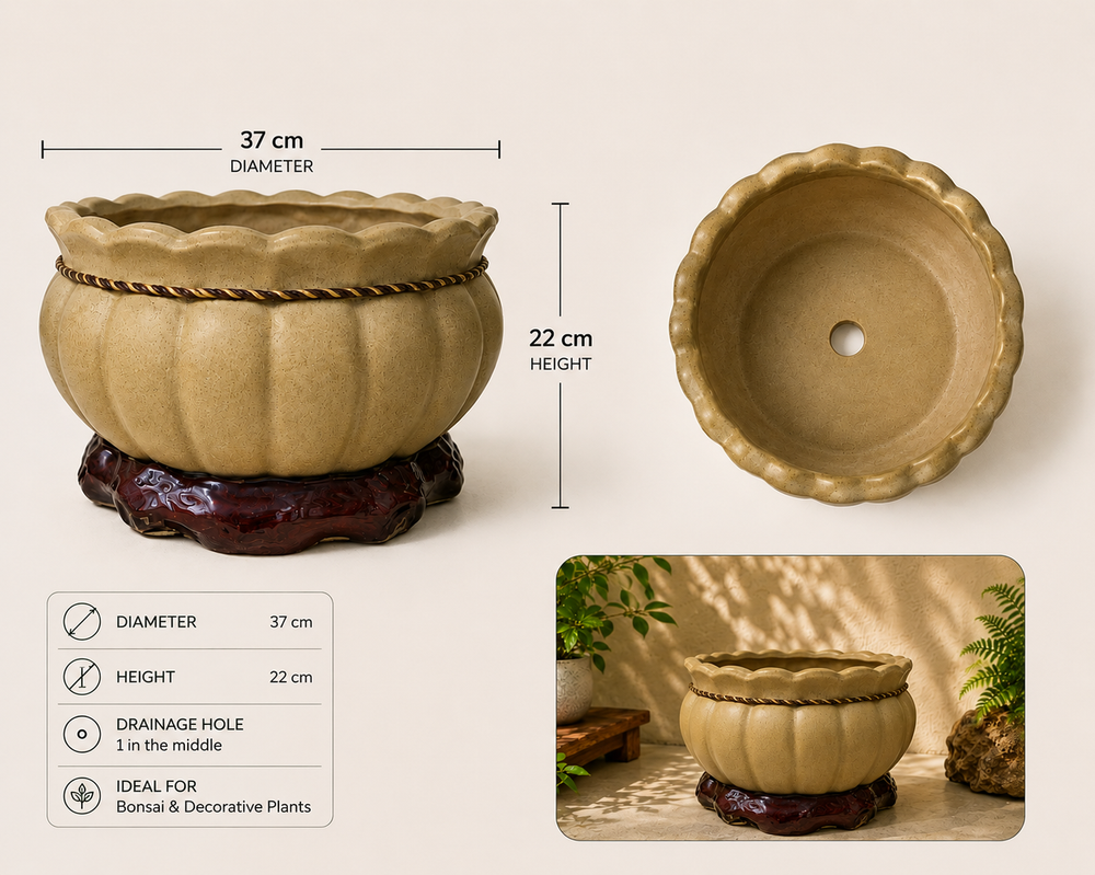 Hasu Round Bonsai Planter