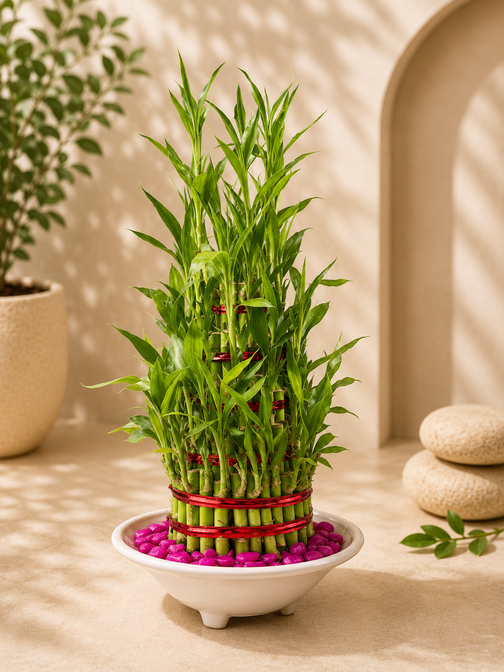 5 Layer Lucky Bamboo Plant