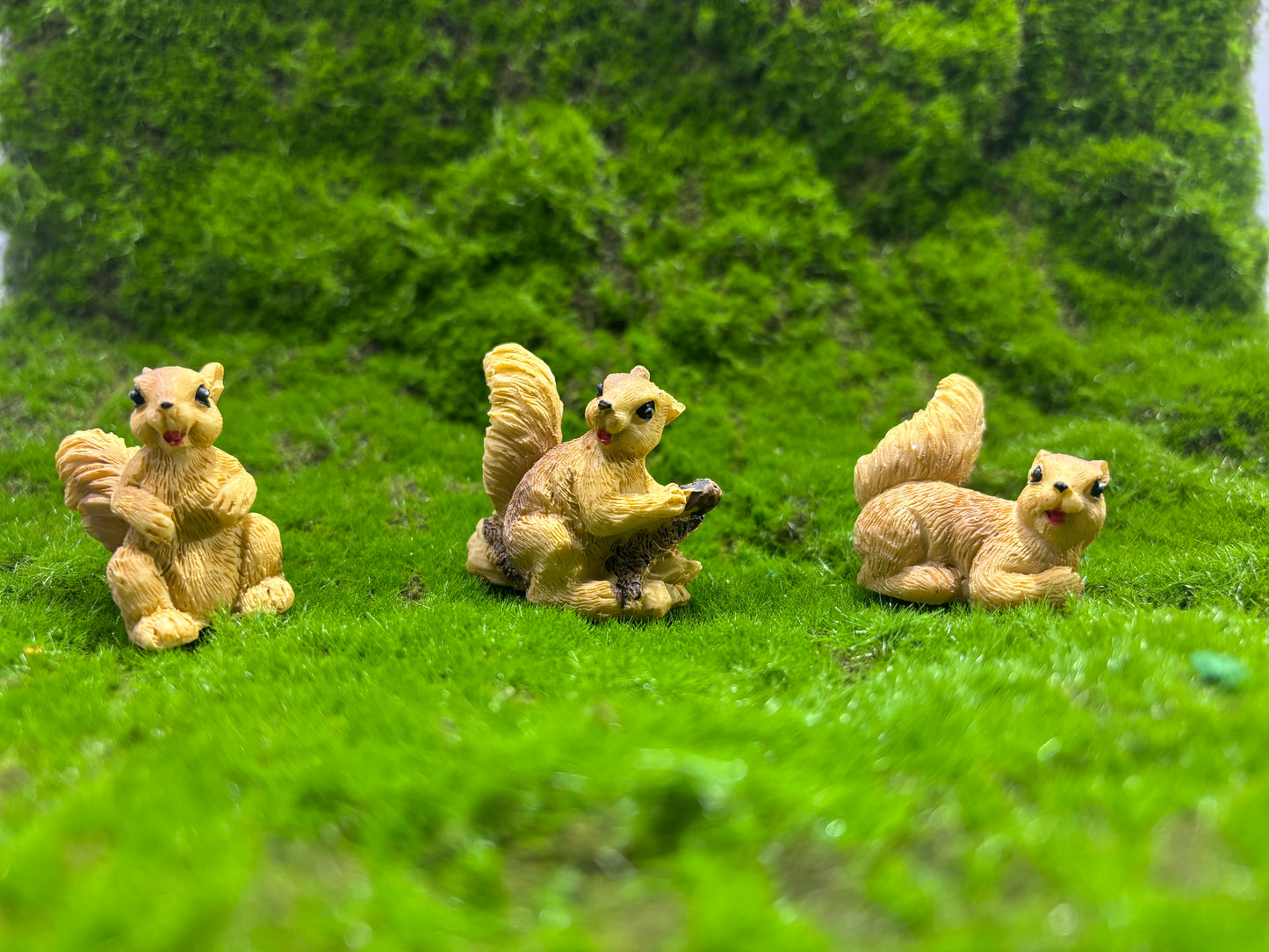 Curious Squirrel Miniature