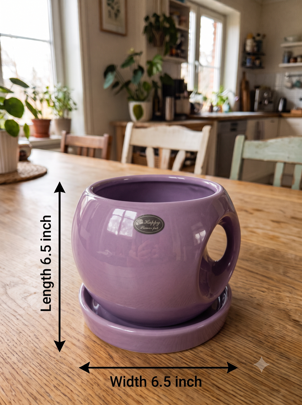 Round Handle Planter - Large in Purple