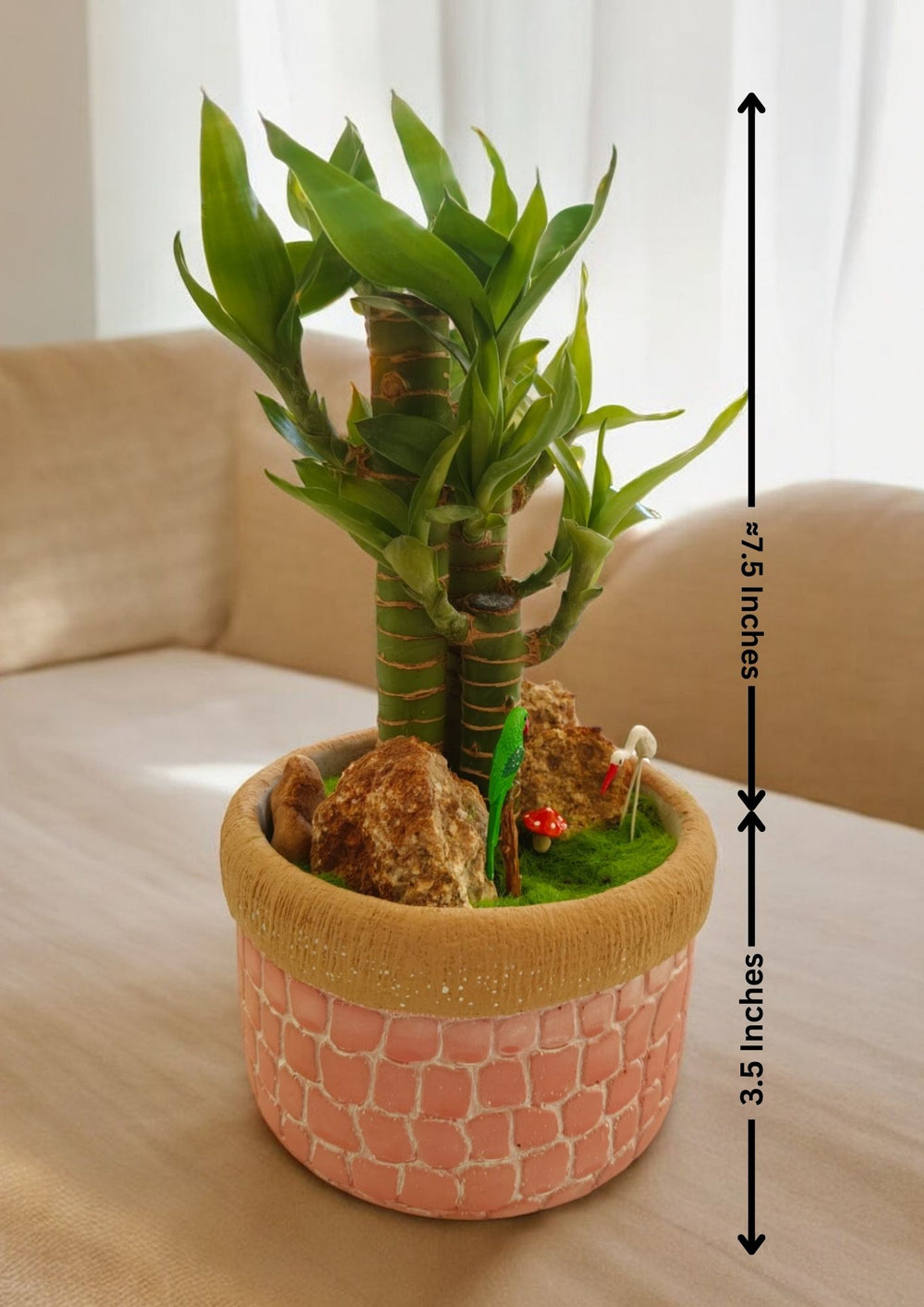 bamboo plant design ideas in bangalore