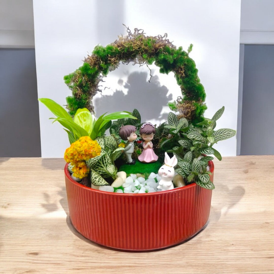 indoor plants in Bangalore