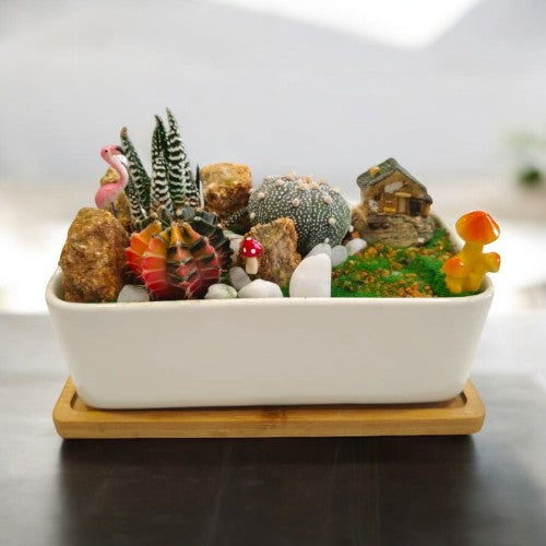 Designer_planter_with_Succulents_and _miniatures 11 in Bangalore