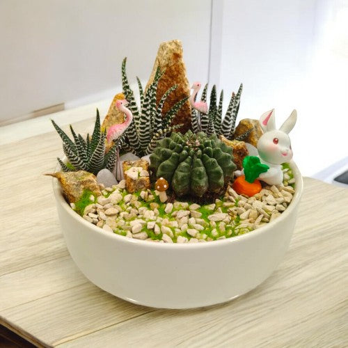 Designer_planter_with_Succulents_and _miniatures 16 near Bangalore