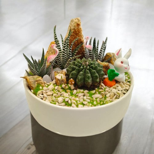 Designer_planter_with_Succulents_and _miniatures 17 near Bangalore